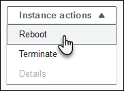 Halaman kesehatan lingkungan yang menampilkan menu tindakan instance untuk me-reboot atau menghentikan instance yang tidak sehat.