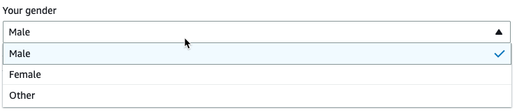 Tangkapan layar menunjukkan parameter transformasi visual khusus dengan drop-down daftar pilih tunggal.