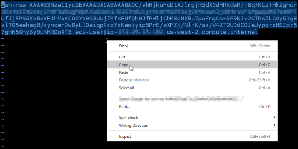 Salin ke isi file kunci publik