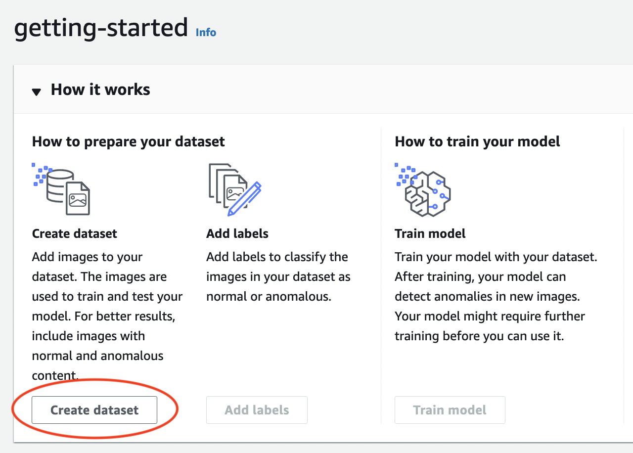 Getting-started info page showing steps to prepare dataset and train model.