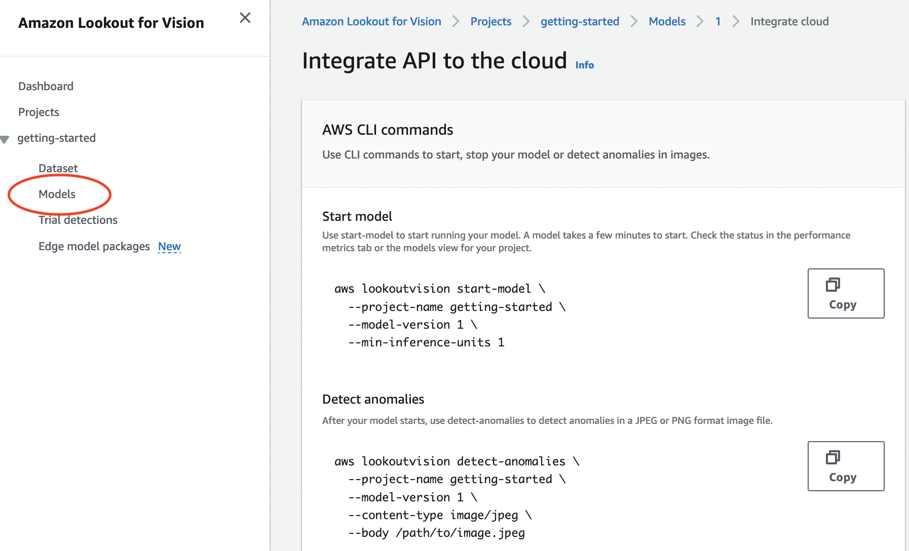 AWS CLI commands to start a model and detect anomalies in Amazon Lookout for Vision.