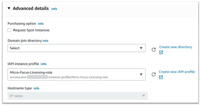 Detail Lanjutan dengan profil instans IAM dimasukkan.