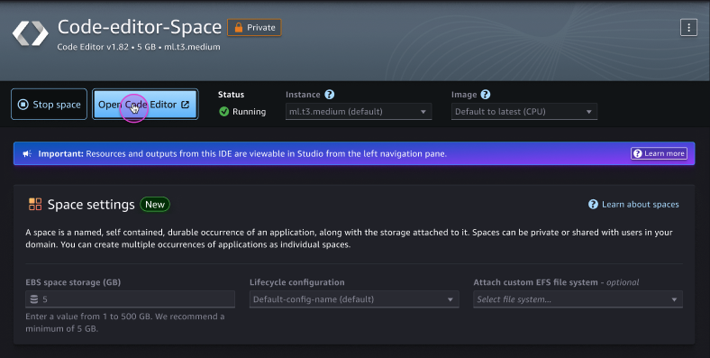 Halaman detail spasi untuk aplikasi Editor Kode di UI Studio.