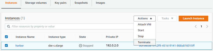 Tab instance yang menampilkan instance yang dipilih dan menu Tindakan yang menampilkan Terminate yang dipilih.