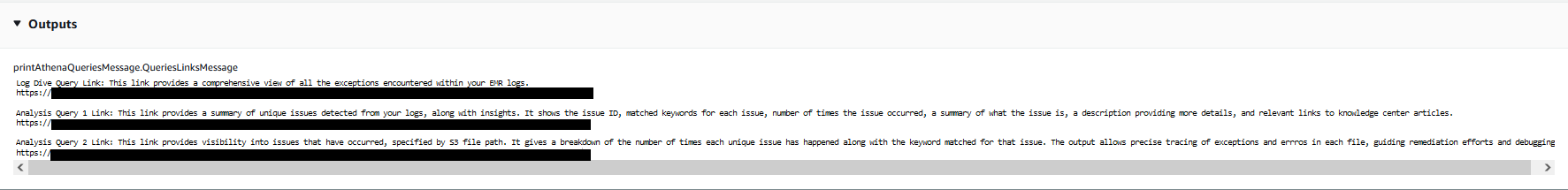 Output section showing query links for exception summaries and analysis in AWS logs.