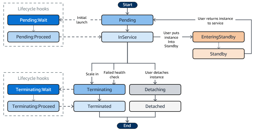 The lifecycle of instances within an Auto Scaling group.