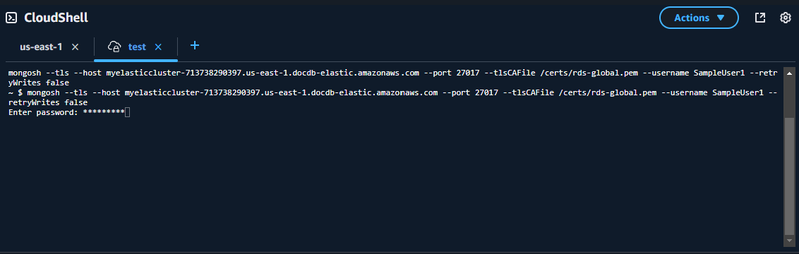 Elastic cluster CloudShell screen requesting user password