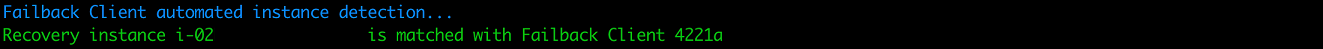 Command line output showing automated instance detection matching Recovery instance with Failback Client.