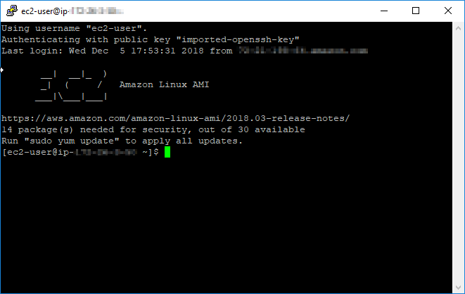 PuTTY connected to an EC2 instance.