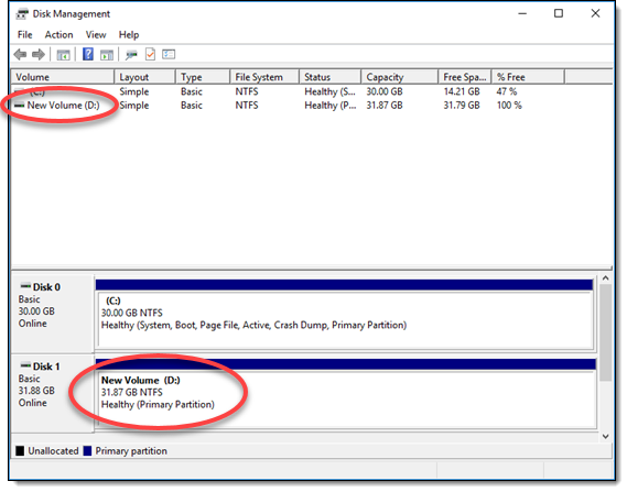 New Simple Volume wizard showing success in Windows Server 2016