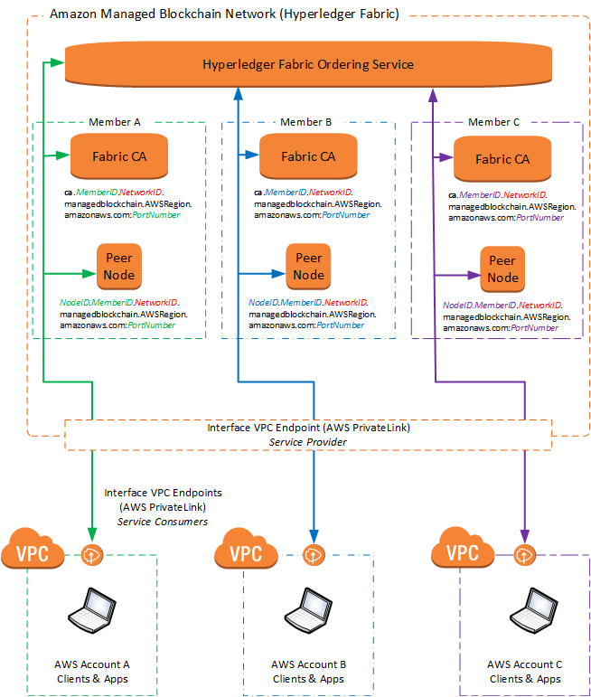 Hyperledger Fabric blockchain network on Amazon Managed Blockchain with three member nodes and VPC connections.