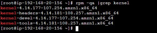 Terminal output showing kernel-related RPM package information for different versions.