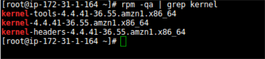 Terminal output showing kernel-related packages installed on an Amazon Linux system.