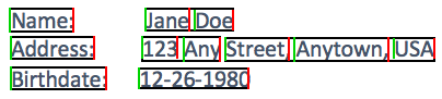 Form with fields for Name, Address, and Birthdate displaying personal information of Jane Doe with address 123 Any Street, Anytown, USA and birthdate 12-26-1980.