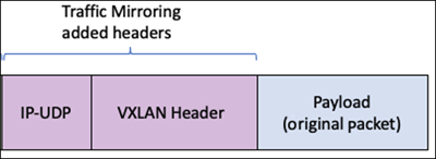 Traffic Mirroring packet.