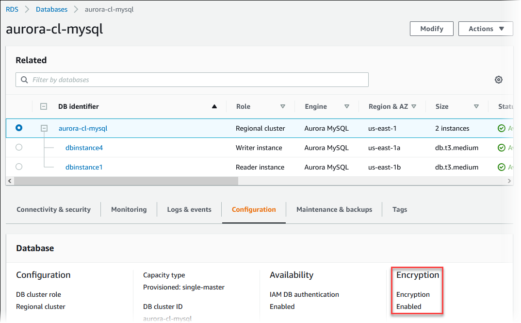 Verifica della crittografia inattiva per un cluster database