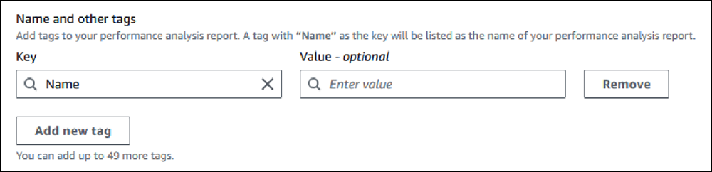 Pannello di controllo di Performance Insights con i campi per aggiungere un nuovo tag