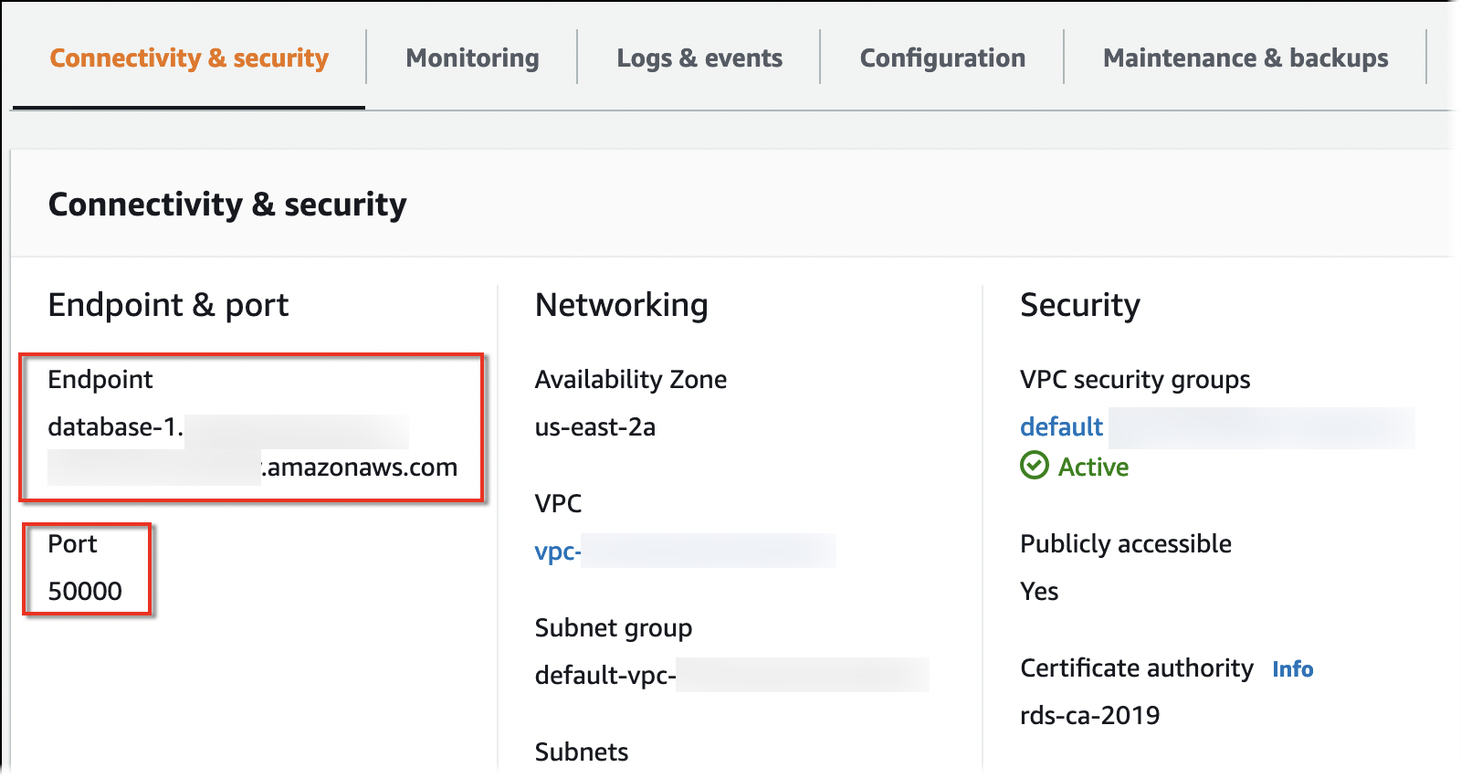 La scheda Connettività e sicurezza per un'istanza DB che mostra l'endpoint e la porta.