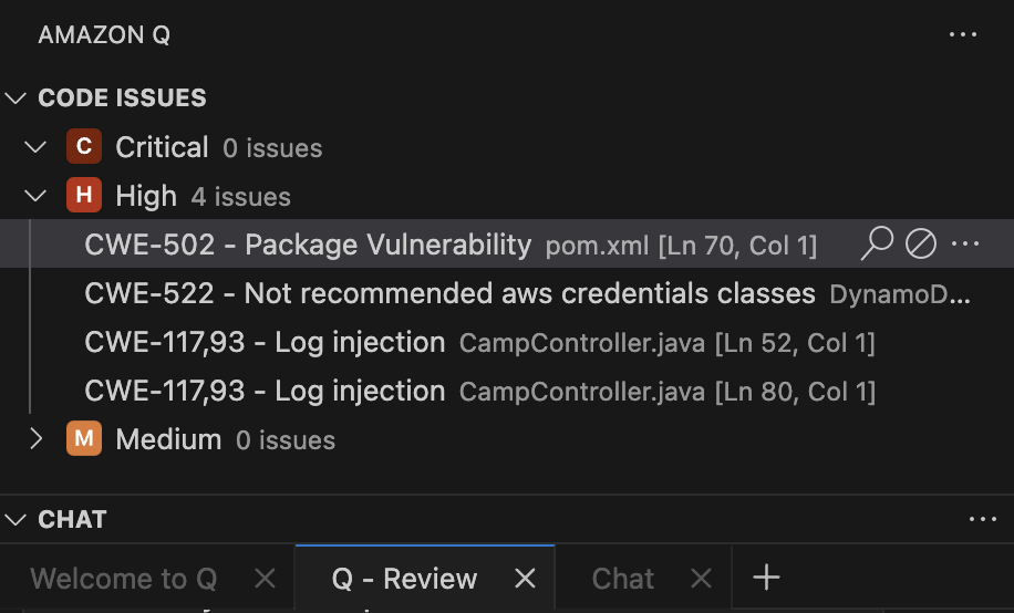 La scheda Code Issues in Visual Studio Code.