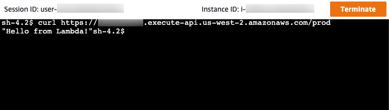 Utilizzi Session Manager per richiamare il tuo modulo API all'interno di AmazonVPC.