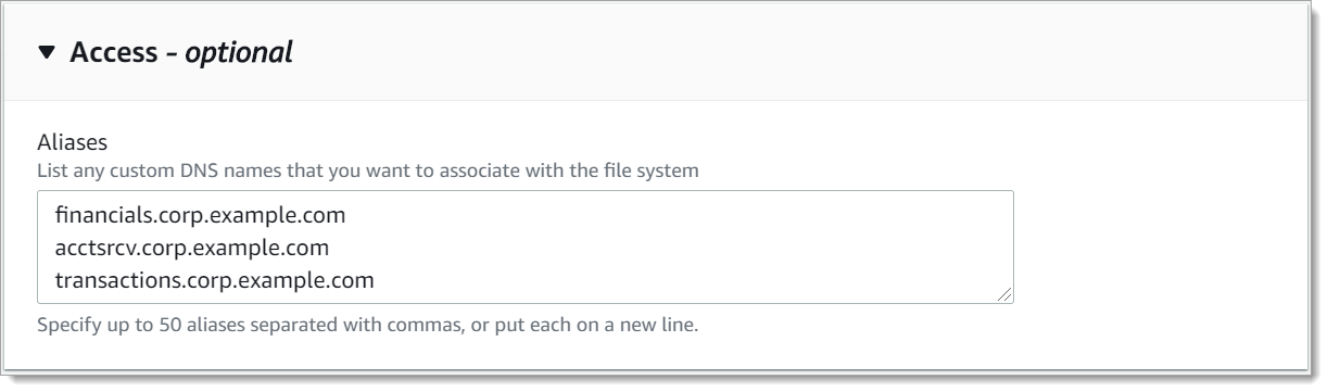 La sezione Accesso della procedura guidata per la creazione del file system viene utilizzata per inserire DNS alias da associare al nuovo file system.