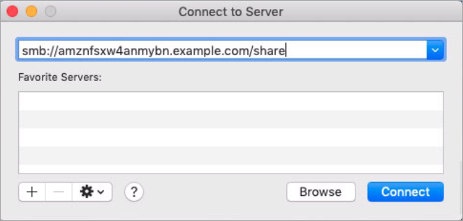 Schermata della connessione al Mac che mostra i nomi DNS e le condivisioni del pannello del file system.