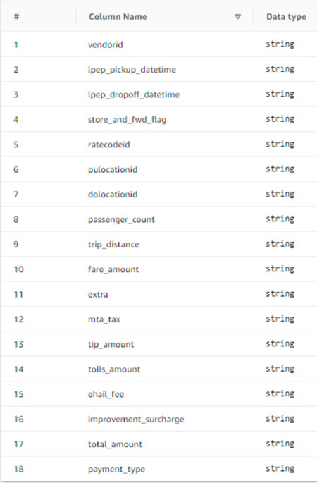 Table schema with 18 columns showing column names and data types, all set to string.