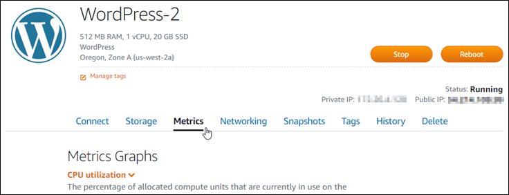 Scheda Metrics (Parametri) nella pagina di gestione delle istanze