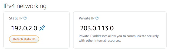 Indirizzo IP statico dell'istanza nella scheda di rete della pagina di gestione delle istanze.