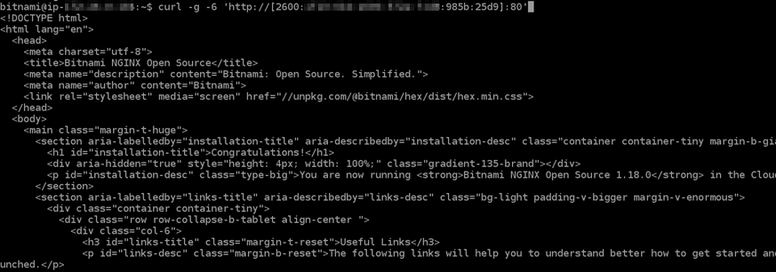 IPv6configurato sull'istanza.