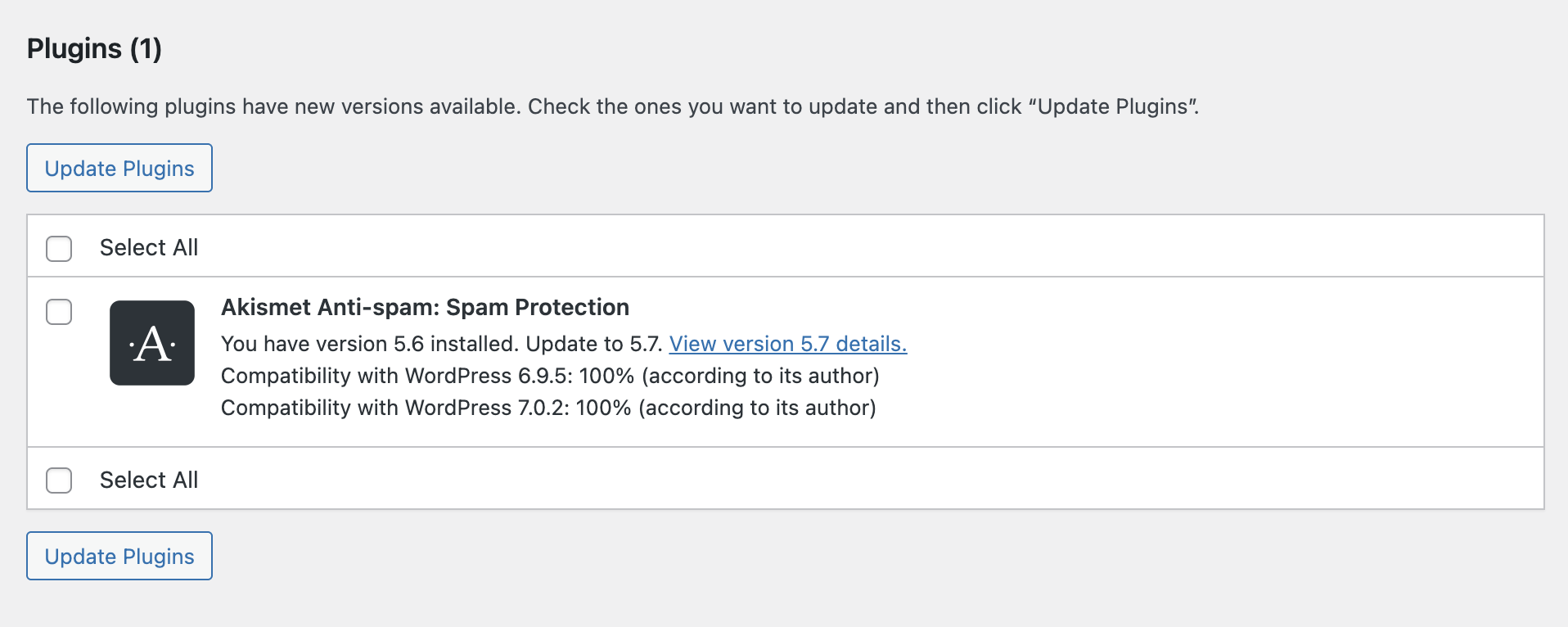 Sezione Plugin della pagina WordPress Aggiornamenti con un plug-in selezionato per l'aggiornamento.