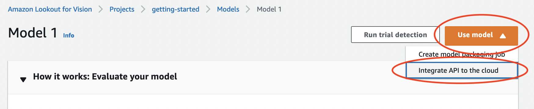 Model 1 page with "Use model" button and dropdown option "Integrate API to the cloud".