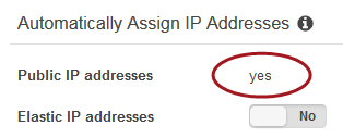 Network settings showing Public IP addresses set to yes and Elastic IP addresses set to No.