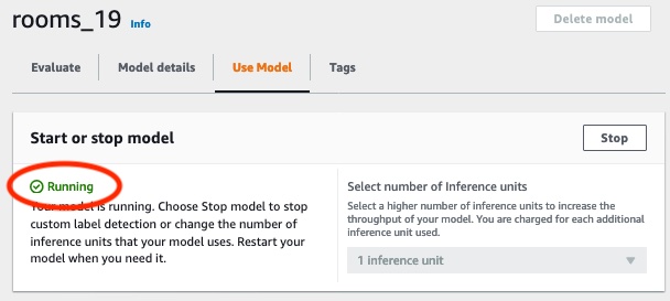 Indicatore dello stato di funzionamento con un cerchio verde che indica che il modello è attualmente in esecuzione e opzioni per arrestare il modello o modificare il numero di unità di inferenza.