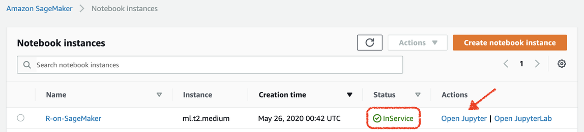 Posizione dello InServicestato e collegamento Open Jupyter nella console.