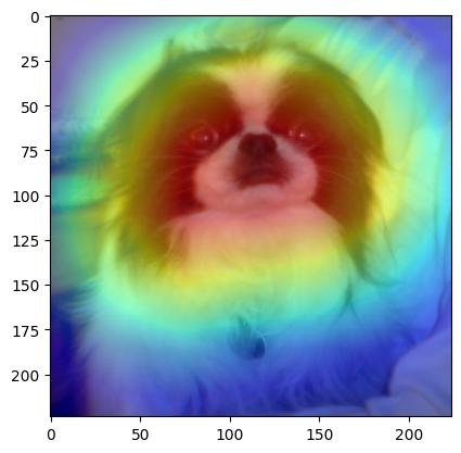 Un cane con una mappa termica che evidenzia le regioni che contribuiscono maggiormente all'etichetta prevista.