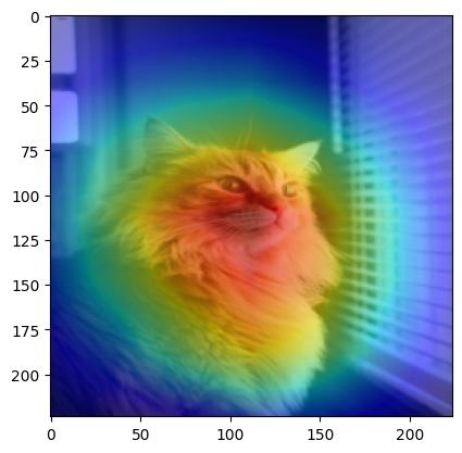 Un gatto con una mappa termica che evidenzia le regioni con il maggior contributo all'etichetta prevista.