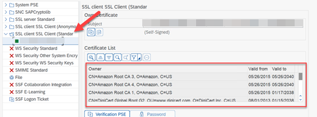 Un esempio dell'elenco dei certificati nello standard del client SSL PSE.