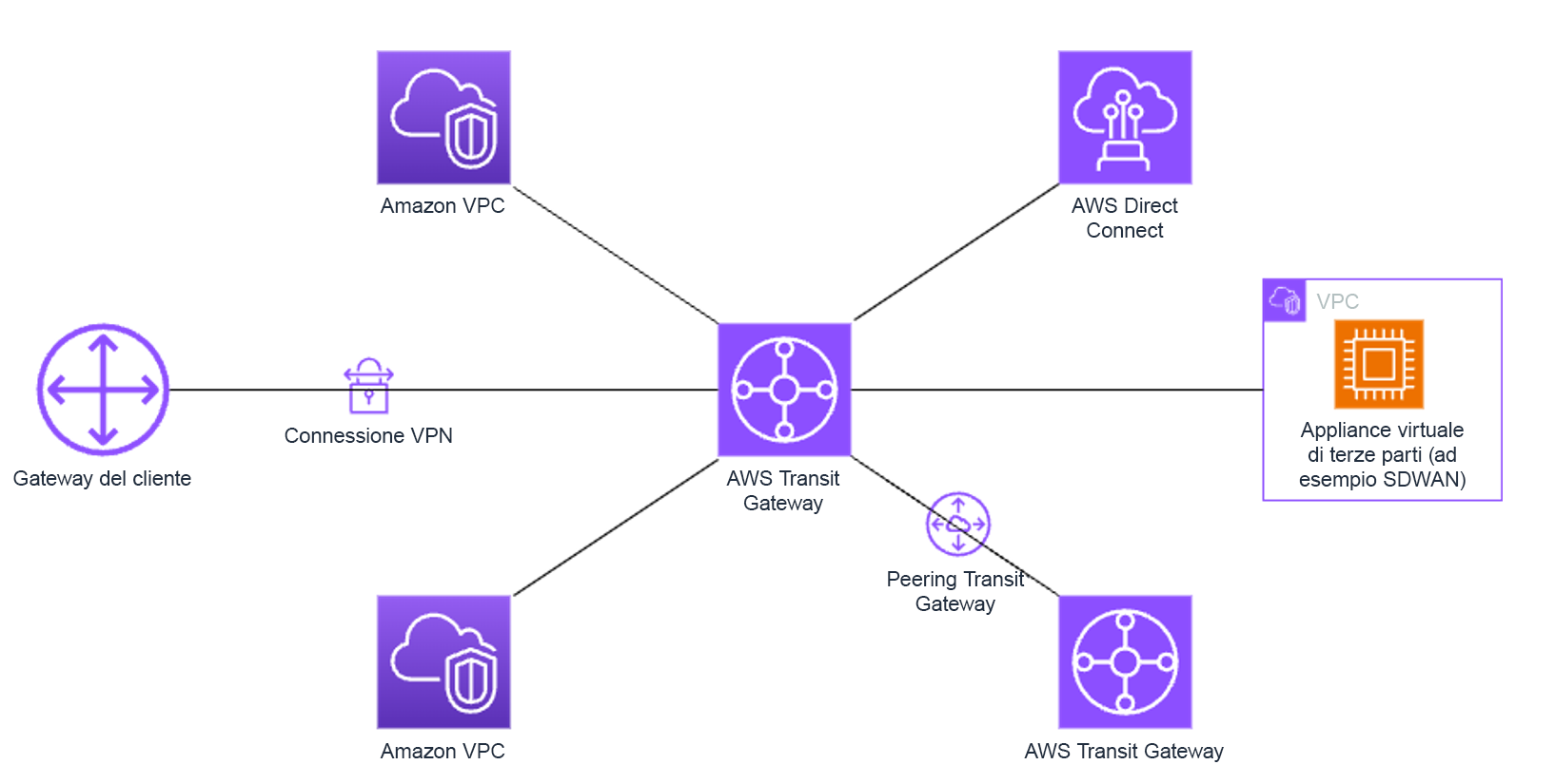 AWS Transit Gateway connecting various services like VPCs, Direct Connect, and third-party appliances.