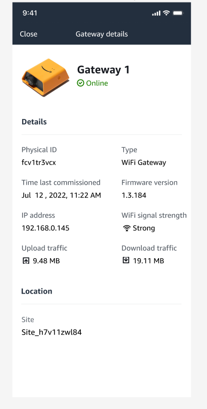 Gateway details page showing status, physical ID, IP address, and other network information.