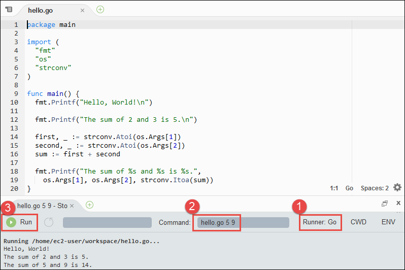 で Go コードを実行する出力 AWS Cloud9 IDE