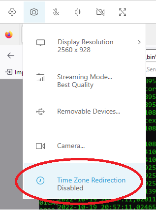 Dropdown menu showing "Time Zone Redirection Disabled" option circled in red.