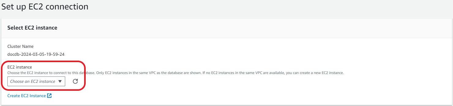 EC2 instance selection dropdown with option to choose or create a new instance.