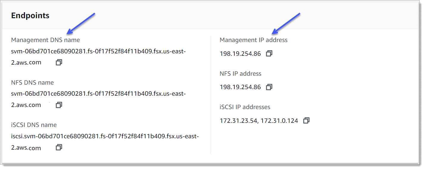 ストレージ仮想マシンの詳細ページのエンドポイントパネルには、管理 DNS 名と管理 IP アドレスを示す矢印があります。