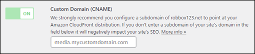 カスタムドメイン (CNAME) をオンにする オプション。