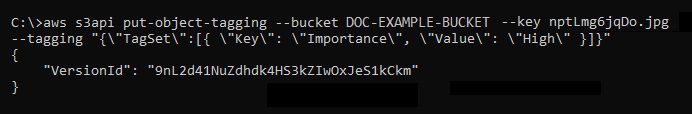 AWS CLI put-object-tagging コマンドの結果