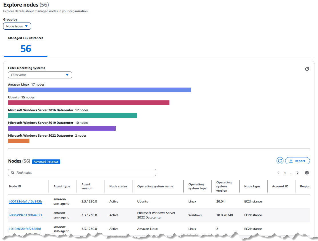 ノードタイプタブに表示されるマネージドノードのリスト