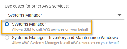 Systems Manager は、ユースケースのオプションの 1 つです。