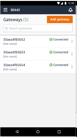 List of three connected gateways with their IDs and status indicators.