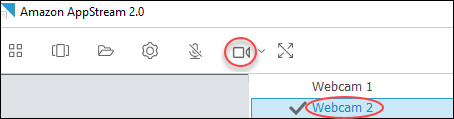 Video icon highlighted in toolbar, with Webcam 1 and Webcam 2 options below.